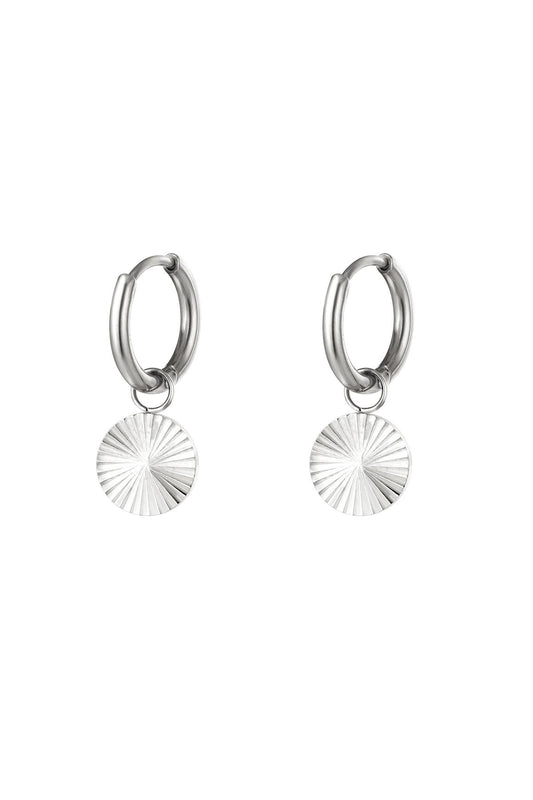RVS oorbellen cirkel Zilver Stainless Steel