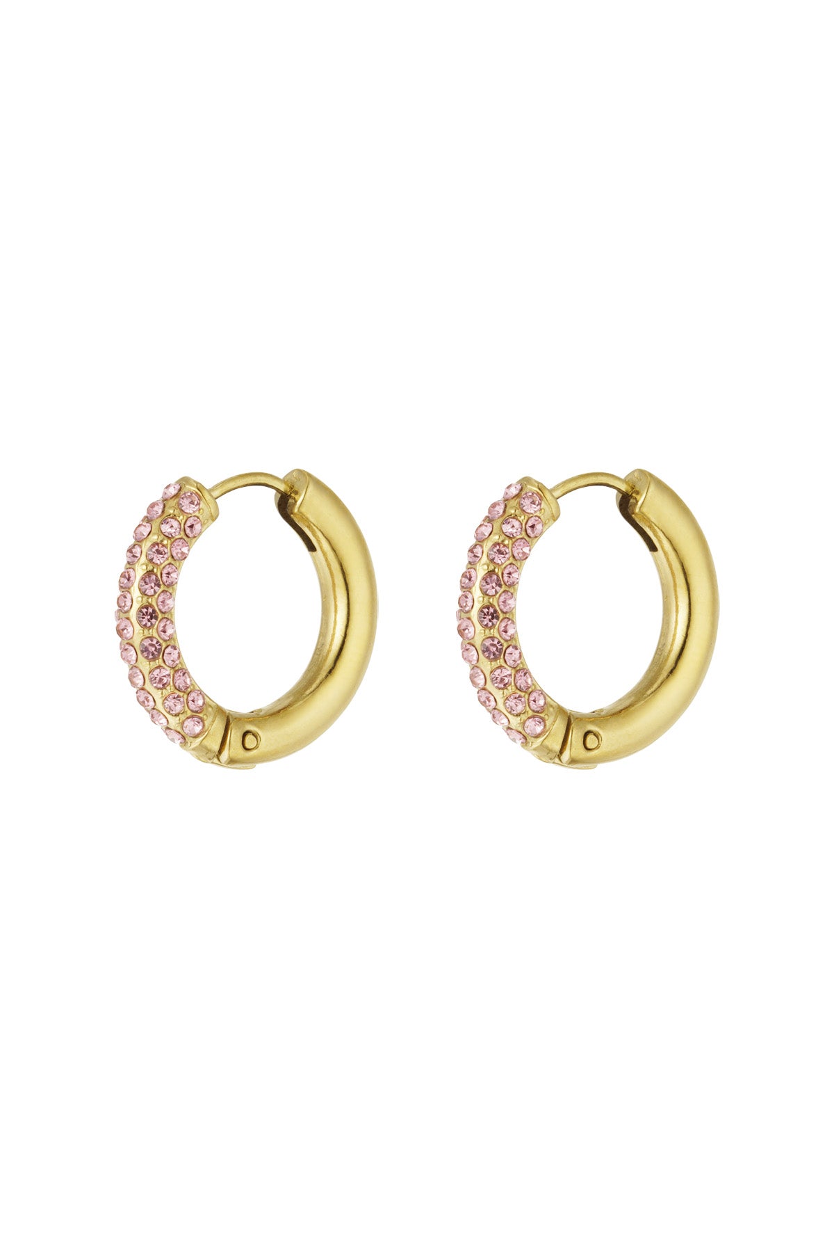 Shiny Rings oorbellen